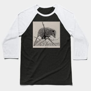 Opossum illustration Baseball T-Shirt